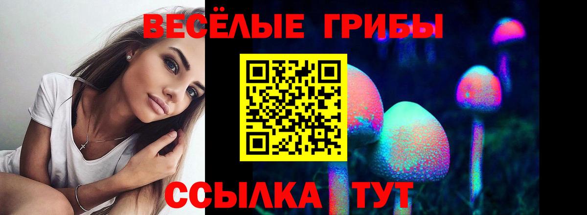 Псилоцибиновые грибы Magic Shrooms  Вход с VPN  Псилоцибиновые грибы мухоморы  Евпатория 